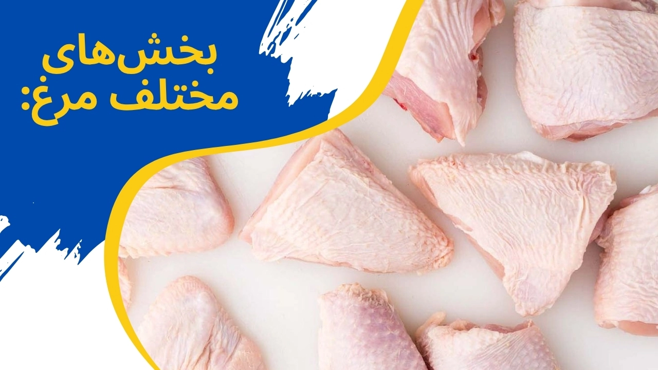 قسمت های مرغ